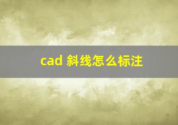 cad 斜线怎么标注